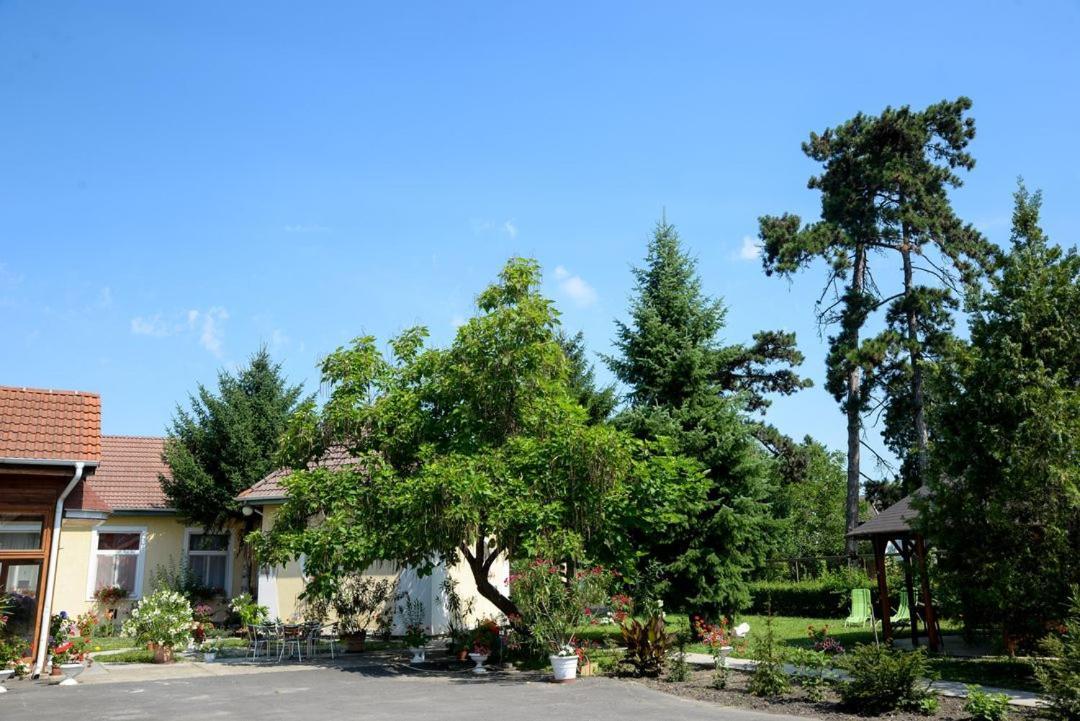 Bed and Breakfast Harang Panzio Gyomaendrőd Exterior foto